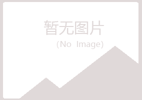 包头青山元珊化学有限公司